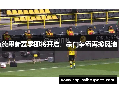 德甲新赛季即将开启，豪门争霸再掀风浪